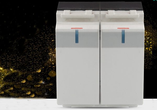 鸿雁RCK22Y10开关模块