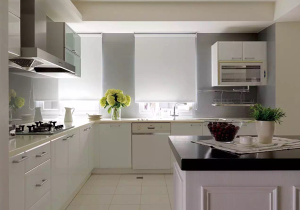 现代厨房盆栽植物等摆设