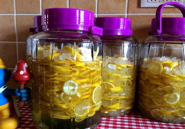 选用白醋作为发酵因素