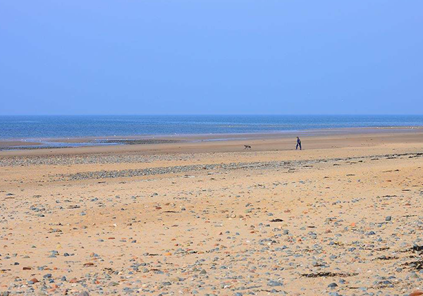 大海边上的海沙