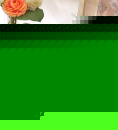 手绘树脂陶瓷果盘