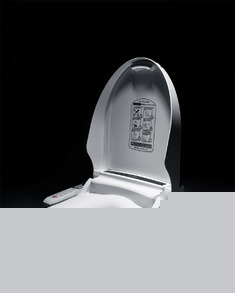 抗菌不锈钢喷杆移动马桶盖