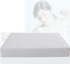 1.8米纯天然椰棕丝席梦思