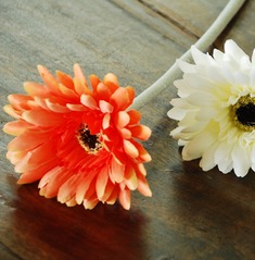 神秘毛杆高仿非洲菊扶郎仿真花