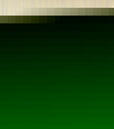 月光森林百搭浮雕背景墙壁纸