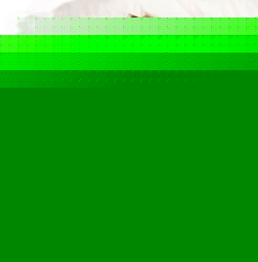 健康环保3E椰棕床垫