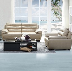 进口牛皮客厅沙发组合