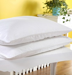 舒适安眠蚕丝枕芯