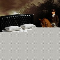 SESSILE进口天然乳胶防螨床垫,1.8*2.0米折叠式床上用品,A6298