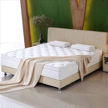 105020-X型号透气记忆棉床垫,全友椰丝热熔棉1.5*2.0米双功能床垫