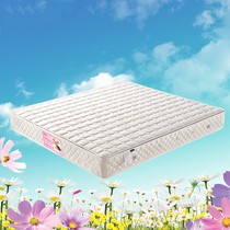 钰家环保棕垫,1.5*2.0米席梦思床垫,高弹耐磨床垫型号: yj121518