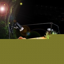 利一美曲线透明玻璃乌龟缸,带太阳灯晒石生态鱼缸,货号: 弧形缸