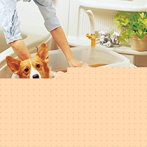 IRIS/爱丽思带过滤网小型宠物浴盆,高边环保贵宾犬洗澡盆,货号: BO-600E