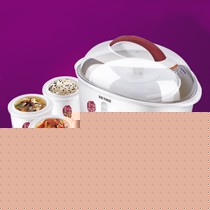 天际多功能白瓷电炖锅,多重安全保护智能厨房电器,型号:GSD-B32E