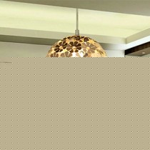 华艺灯饰创意球型吊灯,电镀铝制灯具,餐厅单头花朵吊灯型号: ID06