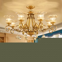 可洛复古花瓣形水晶吊灯,全铜曲线造型家用8头灯具,型号: Y057