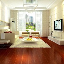 天振品牌TZMF爵士枫桦系列哑光复合地板,褐色桦木饰面实木地板