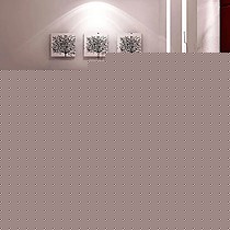 倍康进口番龙眼实木地板,钢琴烤漆超强耐磨实木地板,型号:3010