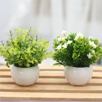 小春泽迷你百搭绿色小盆栽,陶瓷塑料仿真花卉盆栽,货号: 137