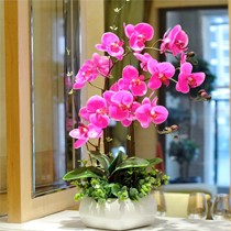 如一花开品牌高雅仿真花盆景,蝴蝶兰假花摆件,货号: t010