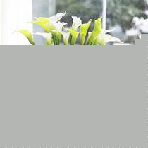 丰舍仿真花卉,纯净马蹄莲家居装饰工艺花,货号HZ036-MDL2-D