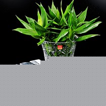 RCR品牌现代简约的水晶刻花花器,晶莹剔透的台面花瓶,货号刻花花瓶