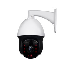 loosafe白色灯形监控摄像头,360度旋转变焦网络监控器,型号:LS-5130W