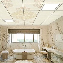 雷士LED平面贴片式太空铝集成吊顶,现代简约卫生间环保无尘集成吊顶