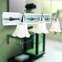 汉斯威诺品牌欧式LED镜前灯,高贵典雅的卫生间镜前灯,型号HS802009