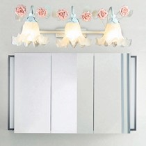 波西米亚田园风格镜前灯,HL0032型铁艺花型节能灯,卫生间镜前灯