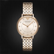 阿玛尼潮流女士手表,休闲石英表,AR11062钢带腕表