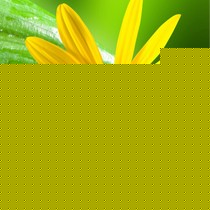 SAST/先科高清成像DVD播放器,智能纠错DVD,护眼安全影碟机