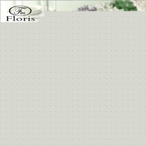 Floris英式简约镀金条纹马克杯,M1401型号骨瓷个性咖啡马克杯