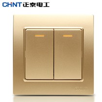 正泰电工双开多控开关,安全钢支架面板,土豪金引领欧式奢华,型号: NEW7L-X/07200