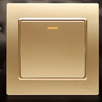 正泰NEW7-L00202内嵌式安全钢架开关,单开双控开关,86型香槟金