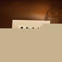 富兰克林香槟金二位六孔多用插座,PC面板环保阻燃电源插座,型号: C311802