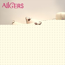 Avigers/靠垫女王天然亚麻靠垫,现代中式绣花靠垫,奢华与环保的融合体