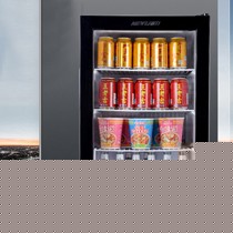 新力黑色立式迷你型冷柜,静音省电家用制冷冷藏柜,型号: SC-75