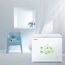 容声4DS速冷冰箱,BD/BC-205MB白色冰柜,断电保鲜电器