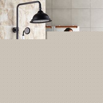 复古欧式黑色淋浴顶喷,博恩诗泰BH8015全铜莲蓬头花洒