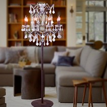 徕烁琪品牌客厅水晶落地灯,美式风格的复古铁艺落地灯,型号5012