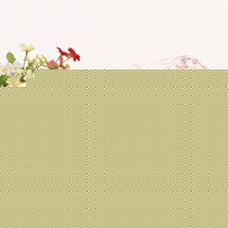 妙娇蕾丝花边立体绣花浴巾,高梳纱柔软靓丽吸水浴巾