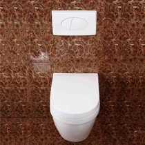 大卫伯爵墙排水马桶,精品直冲式挂墙坐便器,型号B2382