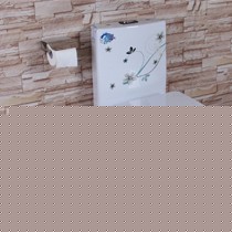 嘉爱斯品牌普通坐便器时尚美观,虹吸式印花釉面马桶,缓冲盖板A210型号地排式