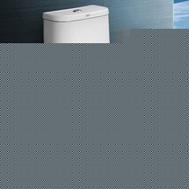 美标卫浴连体式地排水坐便器,pp板静音盖板马桶,型号: CCAS1854