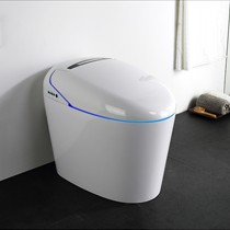 宝生元白色椭圆形智能马桶,地排式女性清洗陶瓷坐便器,型号:9060