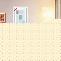 龙树双包边铝合金田园门,双面钢化玻璃不同款式包边室内门,货号 W-020