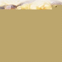 苏泊尔防烫钢化玻璃电炖锅,陶瓷内胆多档功率电炖盅,型号DKZ15A-160