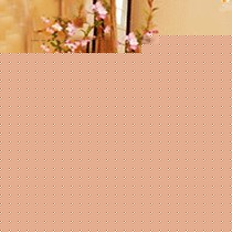 得利仕多色不锈钢平底锅,燃气电磁炉通用高端煎锅,货号DLS-LJ026