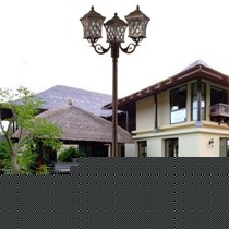 金龙科2米高园林室外灯具,欧式复古青铜庭院灯,型号TYD-001